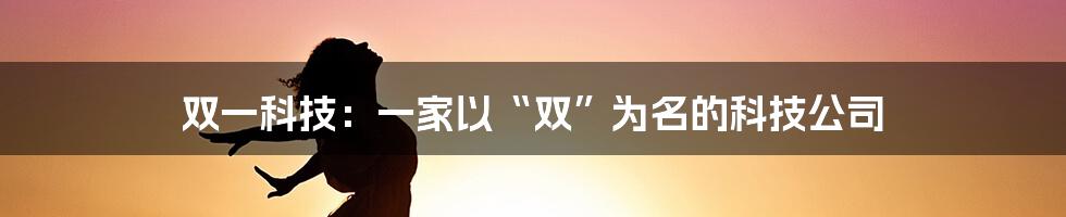 双一科技:一家以“双”为名的科技公司