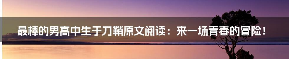 最棒的男高中生于刀鞘原文阅读:来一场青春的冒险!
