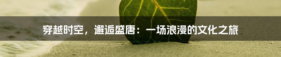 穿越时空,邂逅盛唐:一场浪漫的文化之旅