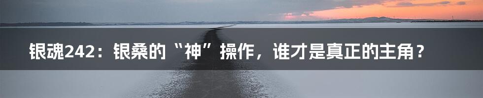 银魂242:银桑的“神”操作,谁才是真正的主角?
