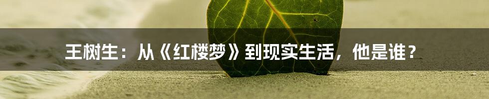 王树生:从《红楼梦》到现实生活,他是谁?