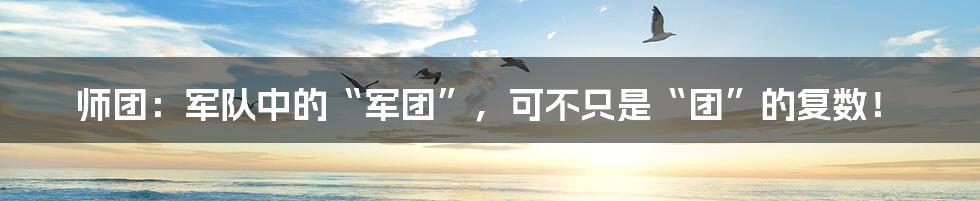 师团:军队中的“军团”,可不只是“团”的复数!