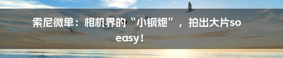 索尼微单:相机界的“小钢炮”,拍出大片so easy!