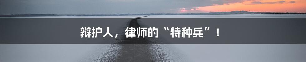 辩护人,律师的“特种兵”!