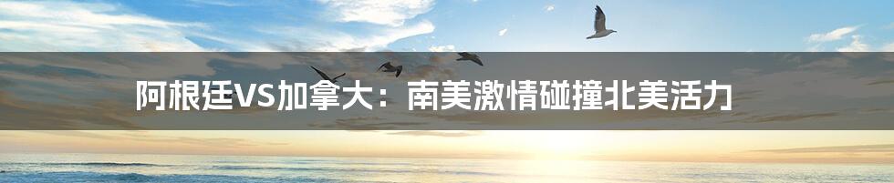 阿根廷VS加拿大:南美激情碰撞北美活力