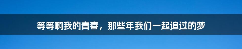 等等啊我的青春,那些年我们一起追过的梦