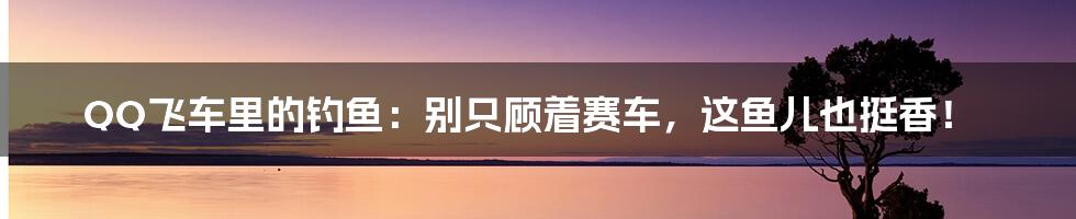 QQ飞车里的钓鱼:别只顾着赛车,这鱼儿也挺香!