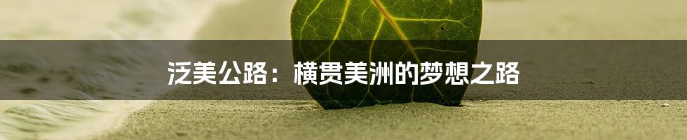 泛美公路:横贯美洲的梦想之路
