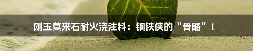 刚玉莫来石耐火浇注料:钢铁侠的“骨骼”!