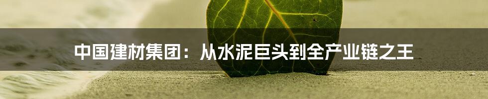 中国建材集团:从水泥巨头到全产业链之王