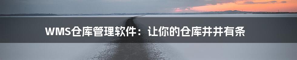 WMS仓库管理软件:让你的仓库井井有条