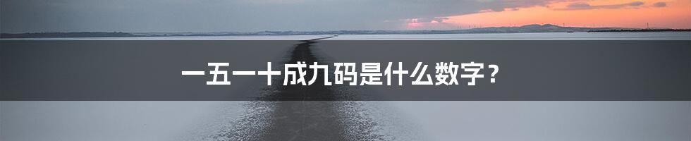 一五一十成九码是什么数字?