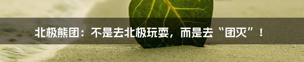 北极熊团:不是去北极玩耍,而是去“团灭”!