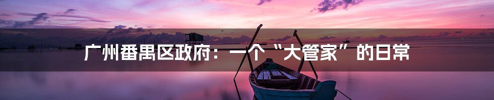 广州番禺区政府:一个“大管家”的日常