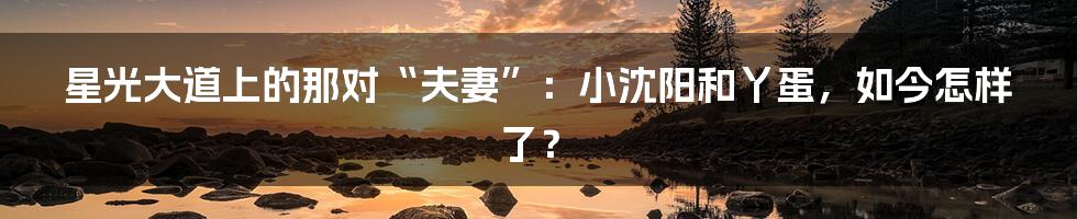 星光大道上的那对“夫妻”:小沈阳和丫蛋,如今怎样了?