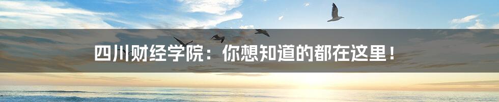 四川财经学院:你想知道的都在这里!