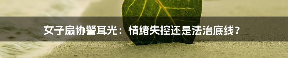 女子扇协警耳光:情绪失控还是法治底线?