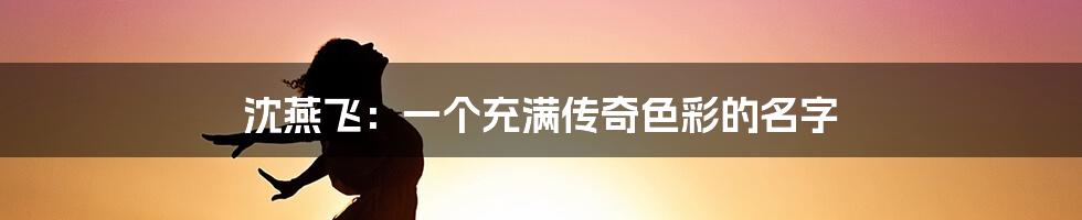 沈燕飞：一个充满传奇色彩的名字