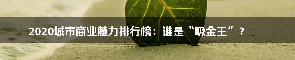 2020城市商业魅力排行榜:谁是“吸金王”?
