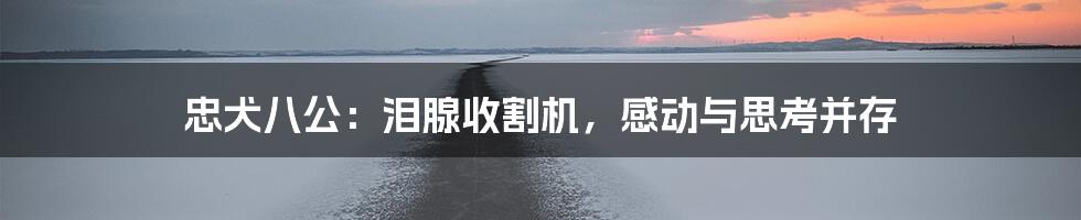 忠犬八公:泪腺收割机,感动与思考并存