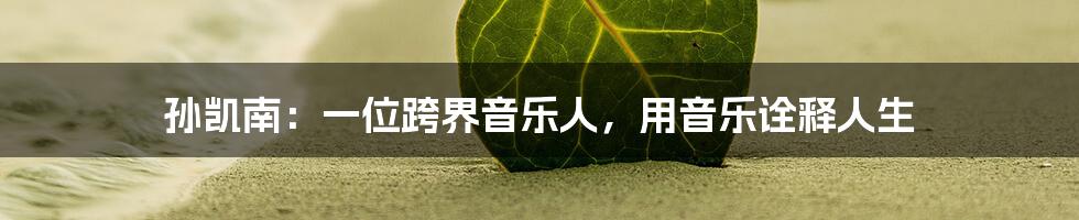 孙凯南:一位跨界音乐人,用音乐诠释人生