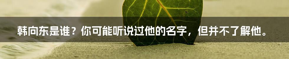 韩向东是谁?你可能听说过他的名字,但并不了解他。