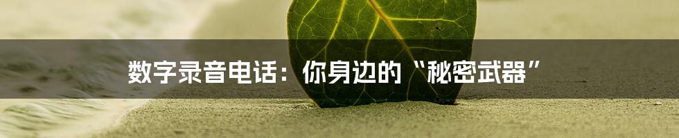 数字录音电话：你身边的“秘密武器”