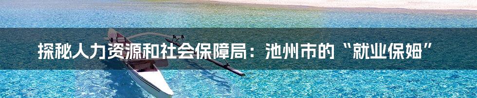 探秘人力资源和社会保障局:池州市的“就业保姆”