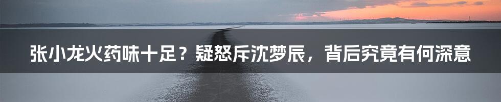 张小龙火药味十足?疑怒斥沈梦辰,背后究竟有何深意