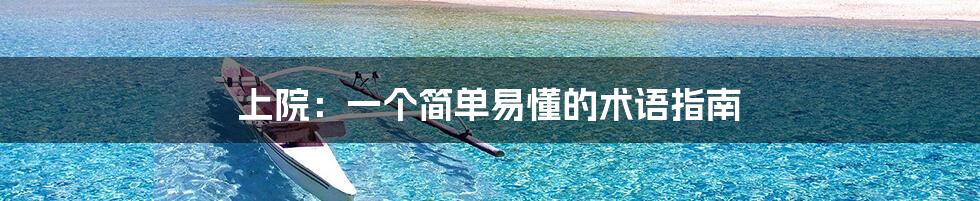 上院:一个简单易懂的术语指南
