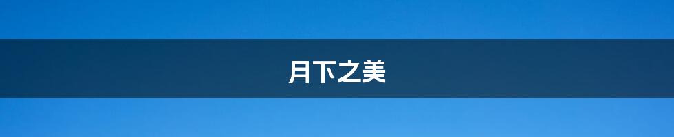 月下之美