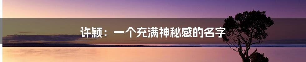 许颖:一个充满神秘感的名字