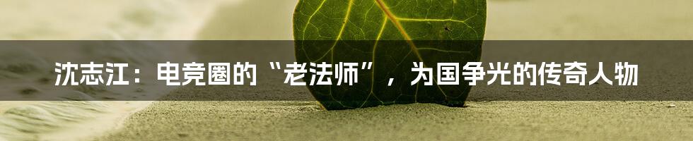 沈志江:电竞圈的“老法师”,为国争光的传奇人物