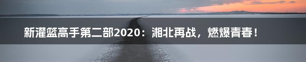 新灌篮高手第二部2020:湘北再战,燃爆青春!