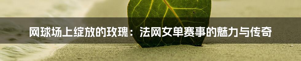 网球场上绽放的玫瑰:法网女单赛事的魅力与传奇
