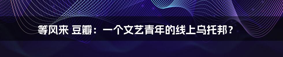 等风来 豆瓣:一个文艺青年的线上乌托邦?