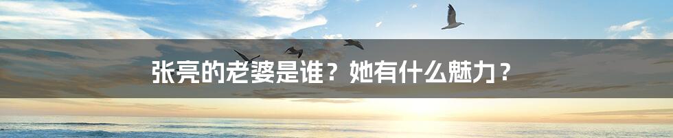 张亮的老婆是谁?她有什么魅力?