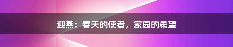 迎燕:春天的使者,家园的希望