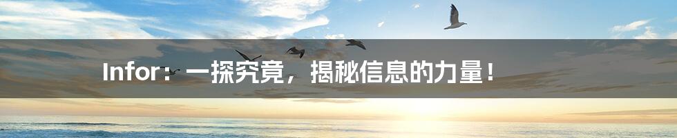 Infor:一探究竟,揭秘信息的力量!