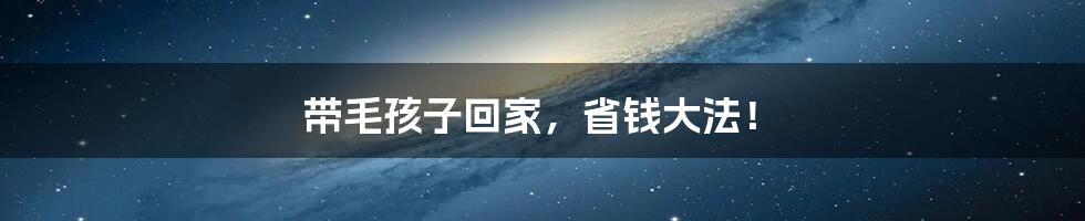 带毛孩子回家,省钱大法!