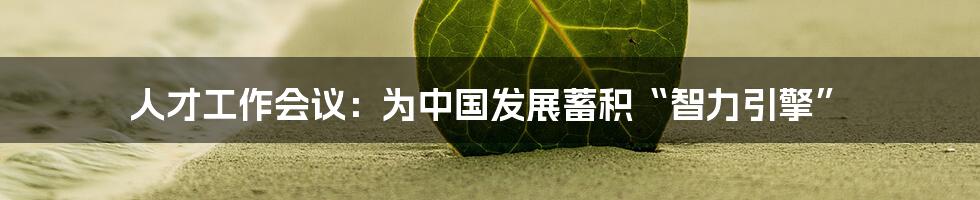 人才工作会议:为中国发展蓄积“智力引擎”