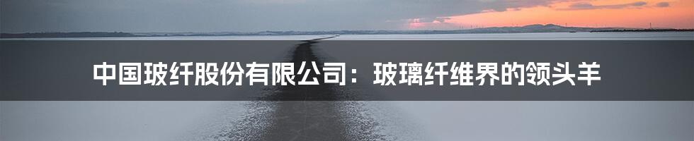 中国玻纤股份有限公司:玻璃纤维界的领头羊