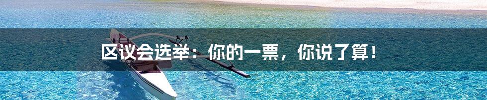 区议会选举:你的一票,你说了算!