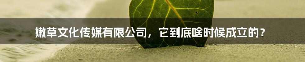 嫩草文化传媒有限公司,它到底啥时候成立的?