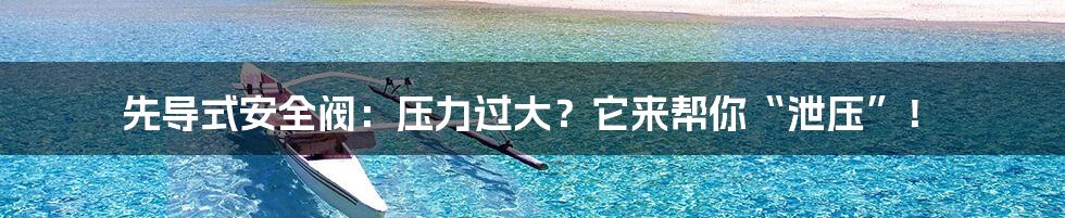 先导式安全阀:压力过大?它来帮你“泄压”!