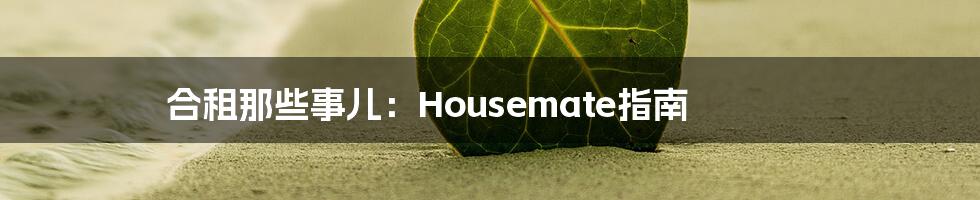 合租那些事儿:Housemate指南