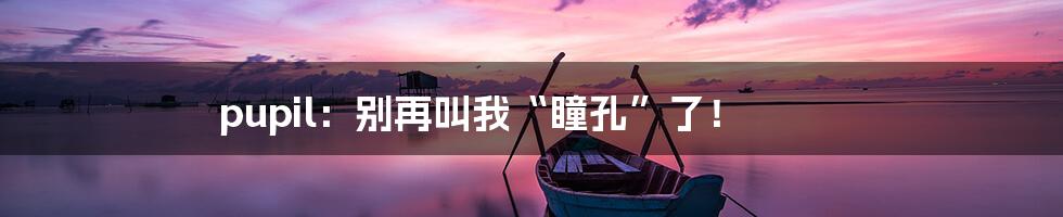 pupil：别再叫我“瞳孔”了！