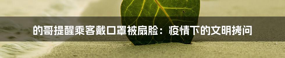 的哥提醒乘客戴口罩被扇脸:疫情下的文明拷问