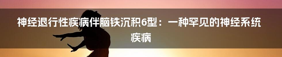 神经退行性疾病伴脑铁沉积6型:一种罕见的神经系统疾病