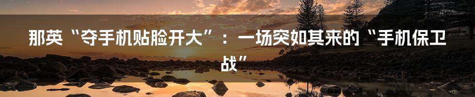 那英“夺手机贴脸开大”:一场突如其来的“手机保卫战”